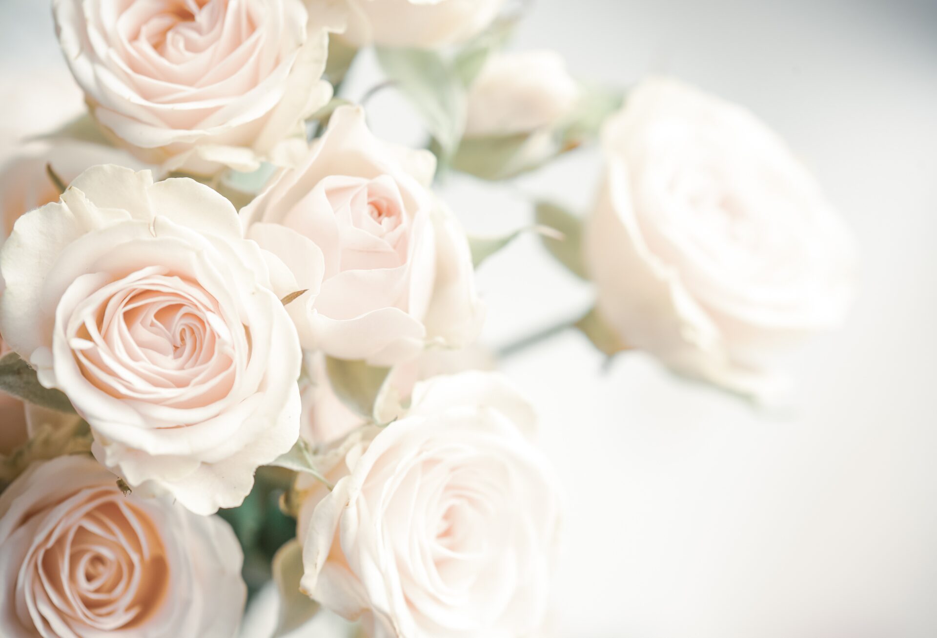 富田林市エステ・リンパマッサージサロン ソワンローズ